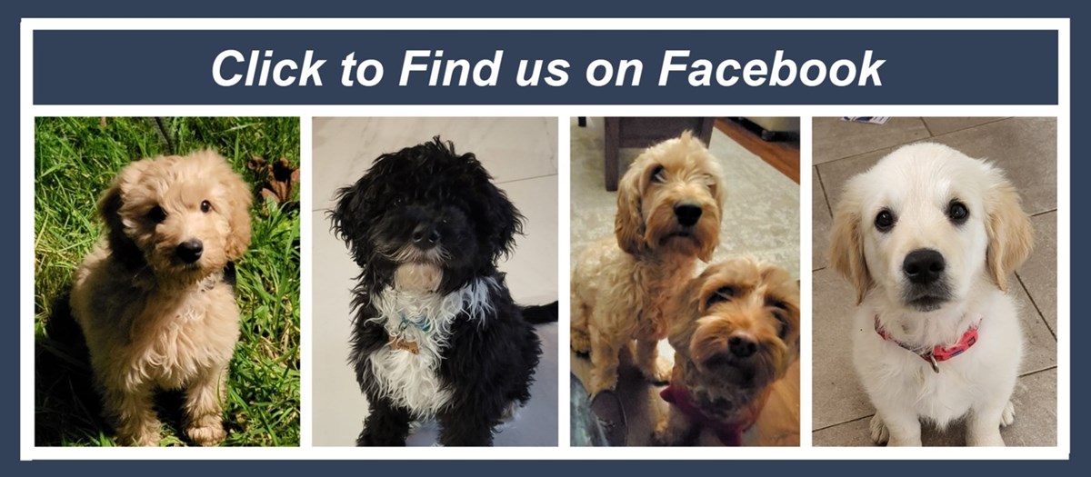 Click for Charlie's Facebook