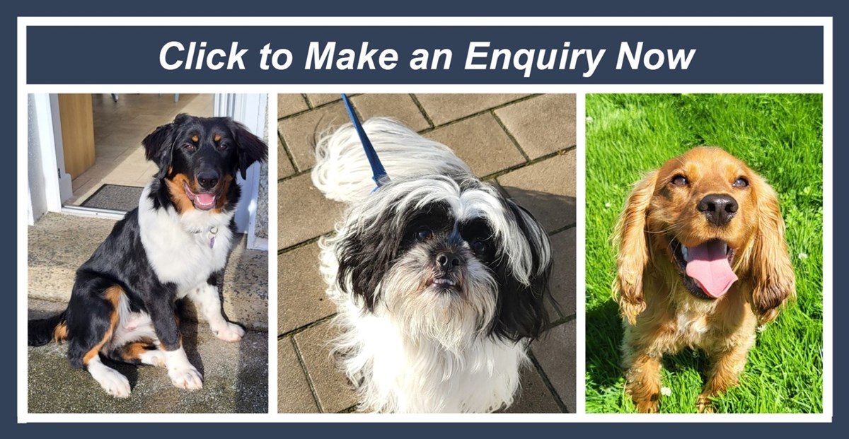 Click to send an enquiry now