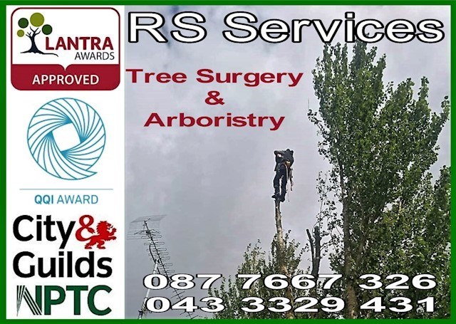 RS Services Tree Services logo