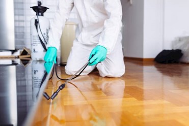Image of pest control in Meath, pest control in Meath is provided by Advance Pest Control