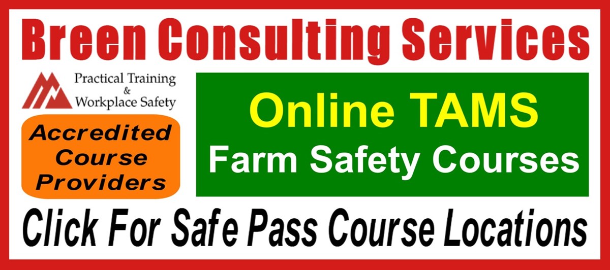 Click for Breen Consulting Wexford Safe Pass course locations