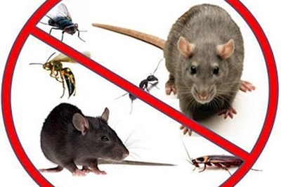 Meath Pest Control -