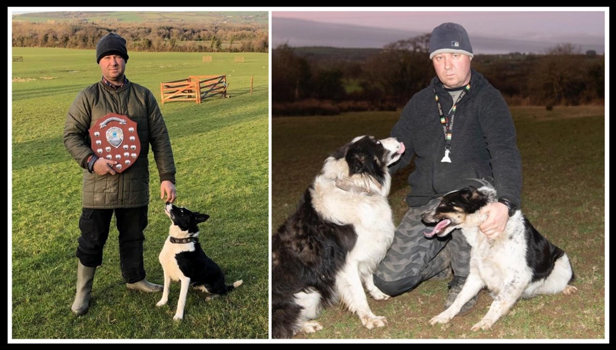 Dog training in Kinsale