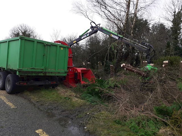 Tree and shrub clearance services in Roscommon