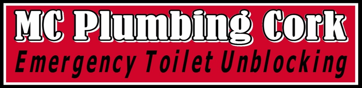 Emergency toilet unblocking in Cork City