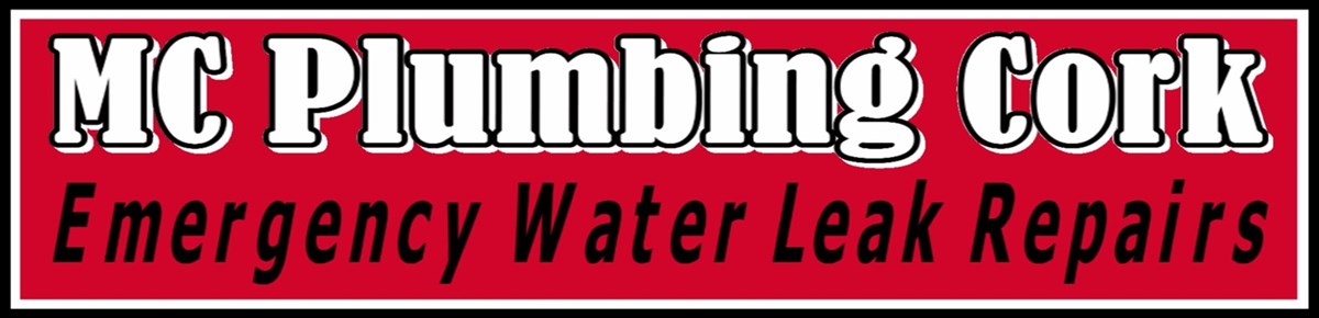 Emergency water leak repairs in Cork City