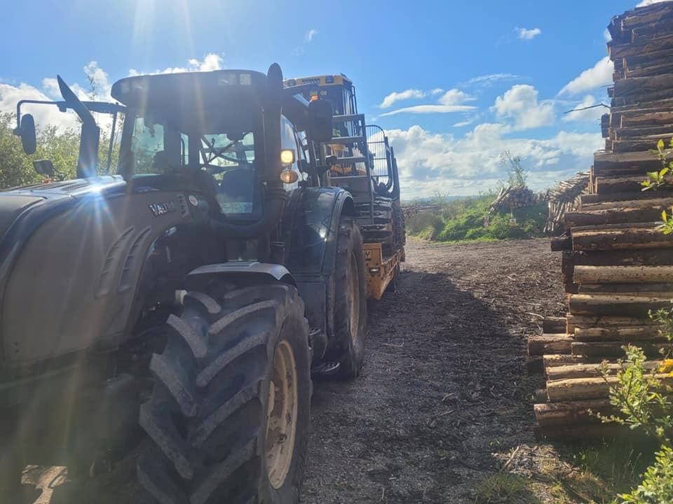 Tree Removal Castlerea