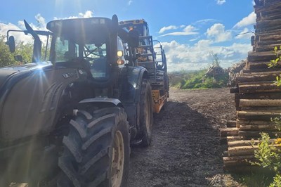 Tree Removal Castlerea