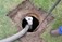 Septic Tank Cleaning Kildare