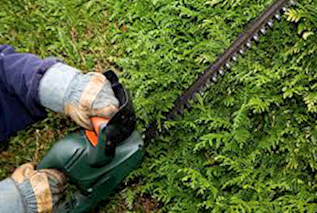 Image of hedge trimming in South Dublin by €urohome Garden Services, hedge trimming  in South Dublin Dundrum and Rathfarnham is provided by €urohome Garden Services