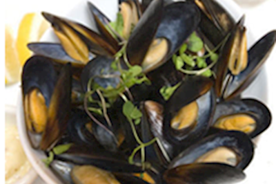 Food For Freezers, Louth