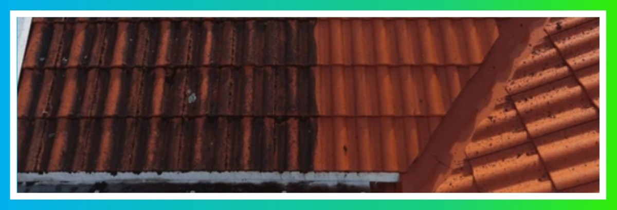 Roof cleaning in Tipperary