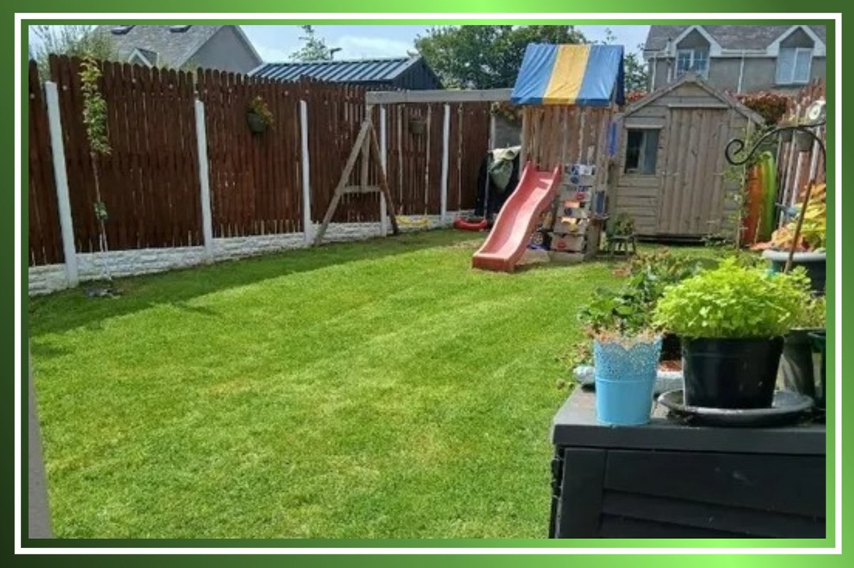 Lawn cutting in Ballincollig and Douglas