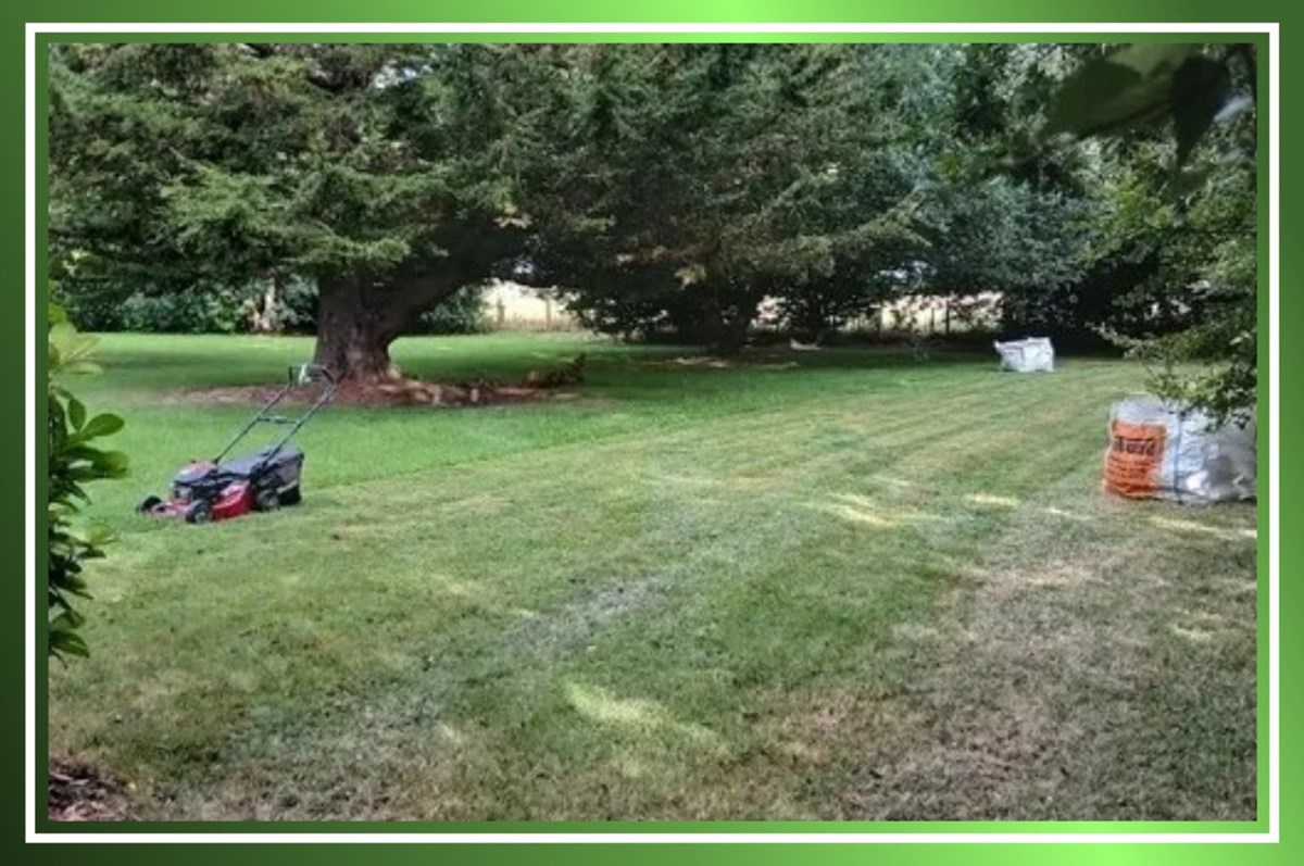 Garden clearance in Ballincollig and Douglas