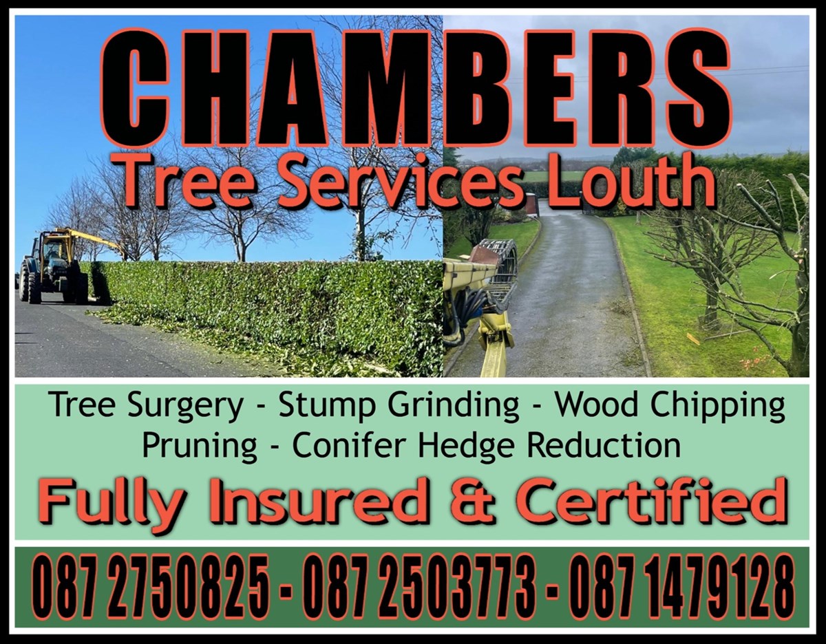 Tree surgeon services in Louth