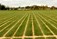 Sports Pitch Development Louth, Meath, North County Dublin