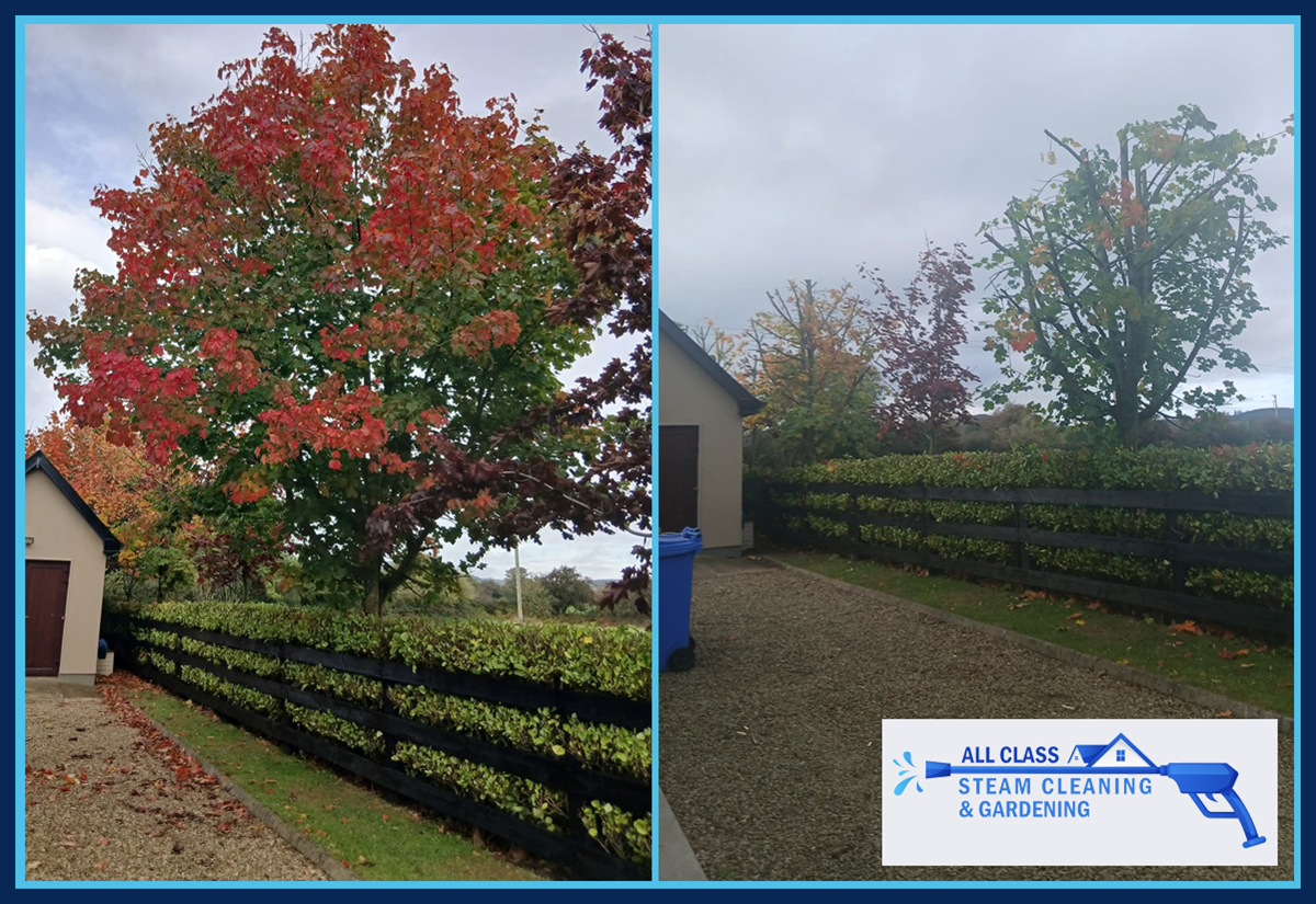 Garden maintenance services in Clonmel and Carrick-on-Suir