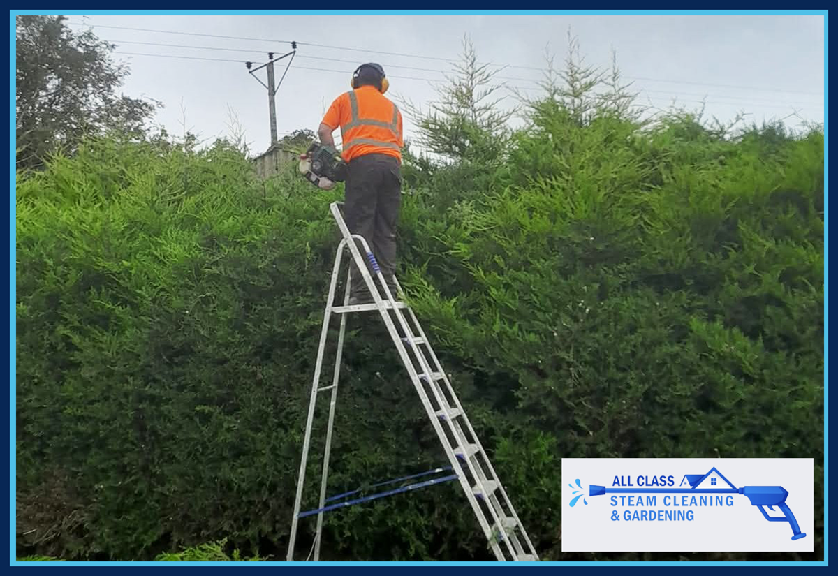 Hedge trimming services in Clonmel and Carrick-on-Suir