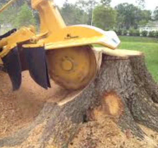 Image of stump removal in South Dublin provided by €urohome Garden Services, stump removal  in South Dublin Dundrum and Rathfarnham is provided by €urohome Garden Services