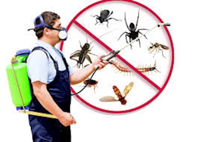 Image of pest control symbols.