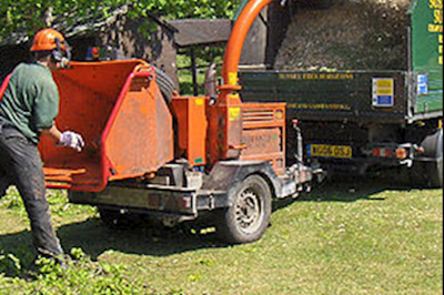 Garden Clearance, Tree Cutting, Dundrum, Rathfarnham, South Dublin.