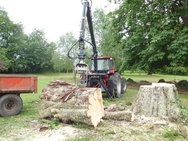 Image of tree removal in Maynooth, tree removal in Maynooth, Celbridge and Dunboyne is available from Healion Tree Care