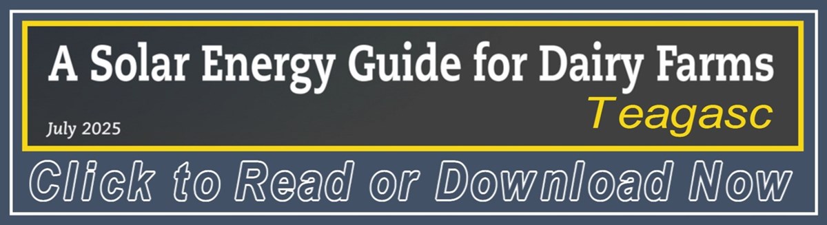 Click to Read or Download Now