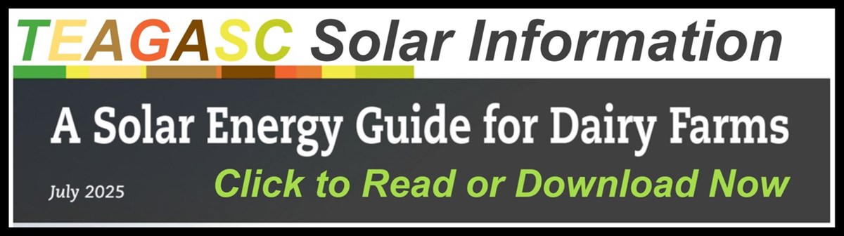 Click to Read or Download Now