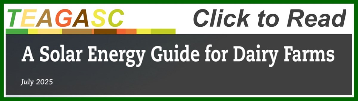 Click to Read Now