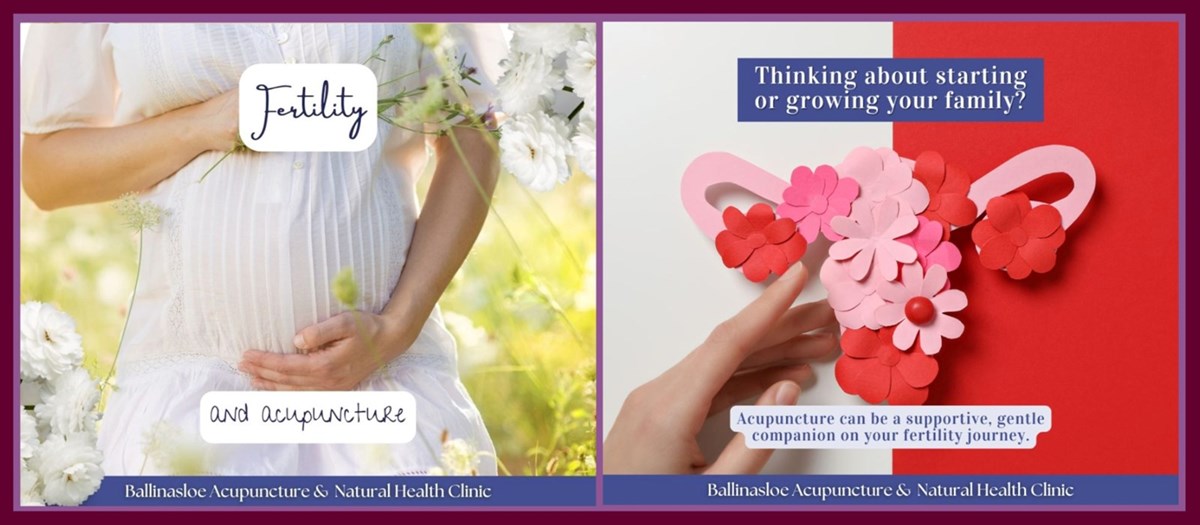 Acupuncture for fertility problems in Ballinasloe is carried out by Ballinasloe Acupuncture and Natural Health Clinic