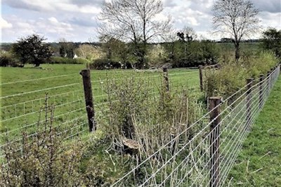 Fencing Contractor Roscommon, Francis Regan