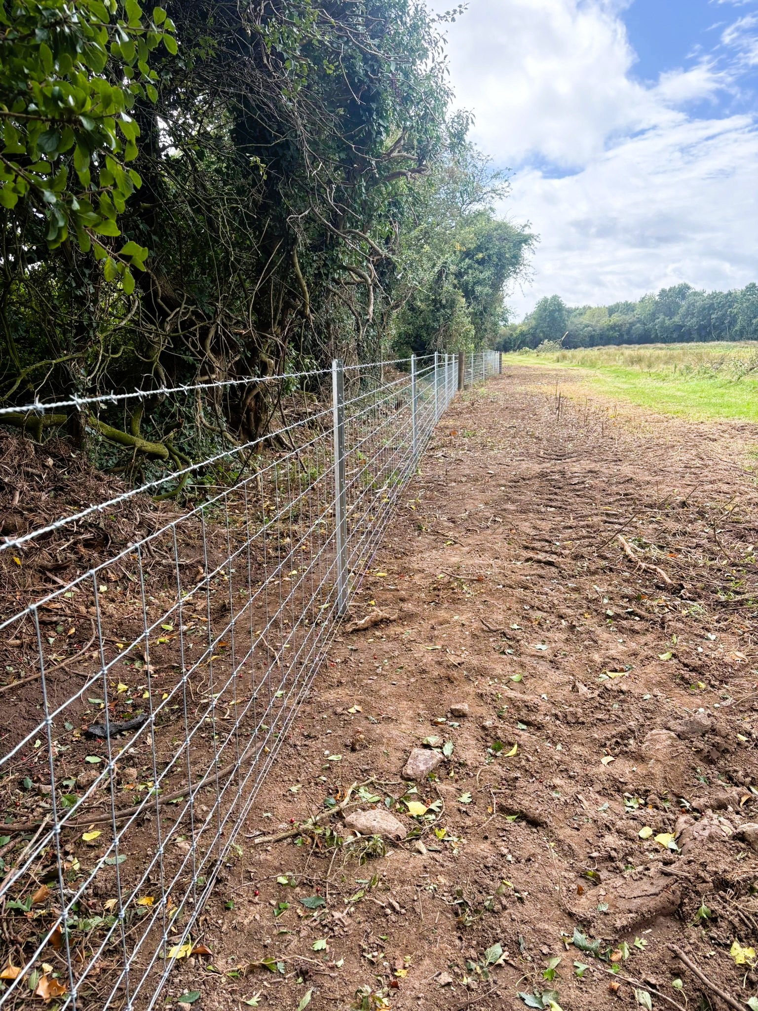 Fencing Contractors Kildare