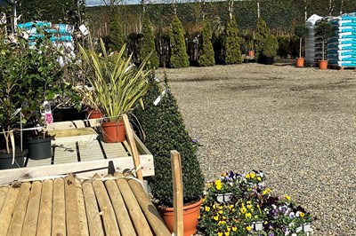 Arthur's Nurseries