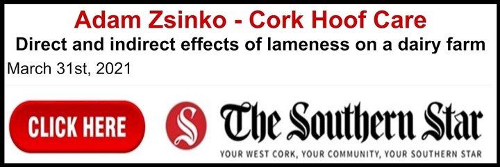 article-on-hoof-trimming in Cork Newspaper