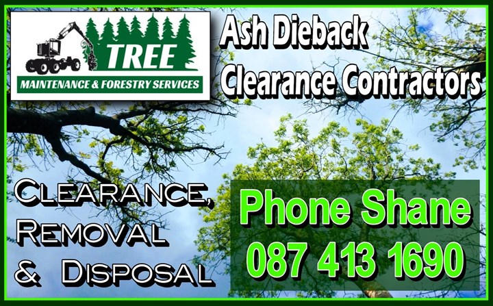 Ash Dieback Clearance Contractors Monaghan, Meath, Cavan - Tree Maintenance & Forestry Services 