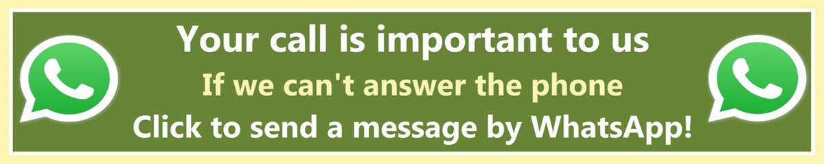 Click to send WhatsApp now