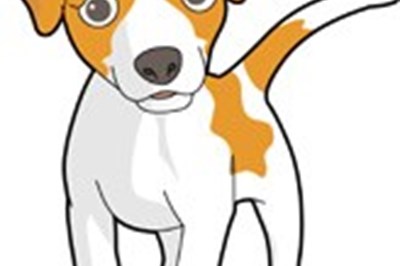 Belview Boarding Kennels Termonfeckin