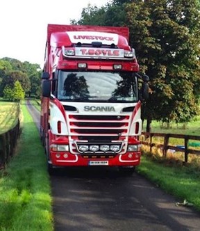 image of truck from Thomas Boyle Livestock Haulage