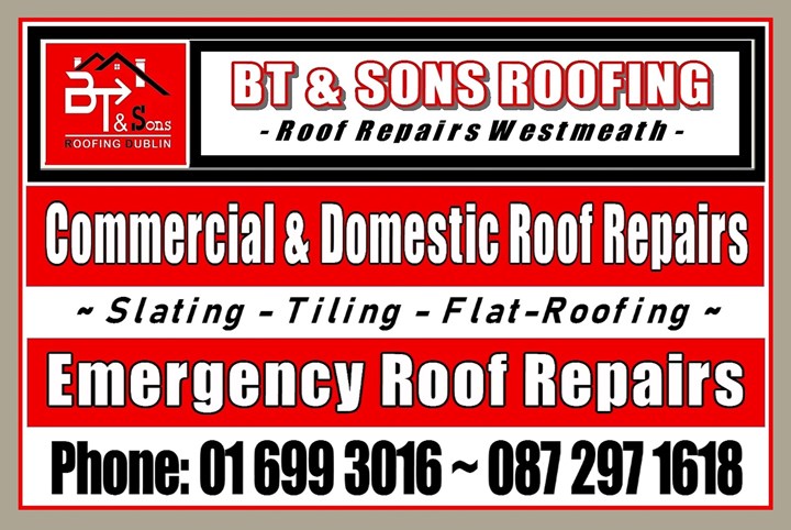 BT & Sons Roofing Westmeath - Header 