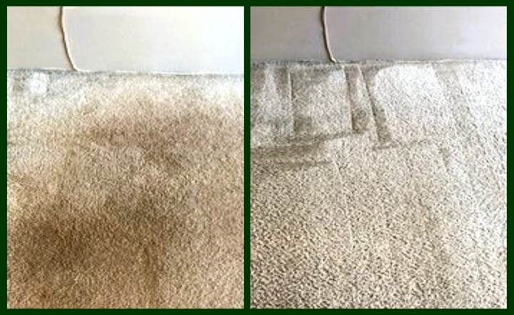 Dry rug cleaning in Limerick carried out by ProDry