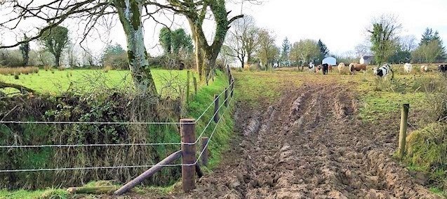Agri fencing Roscommon & East Galway