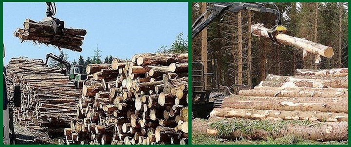 Forestry Services - Cavan, Monaghan, Leitrim