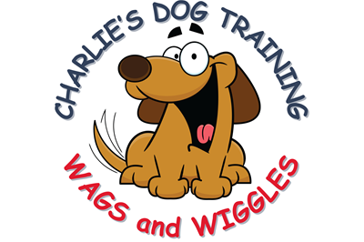 Monaghan dog training -