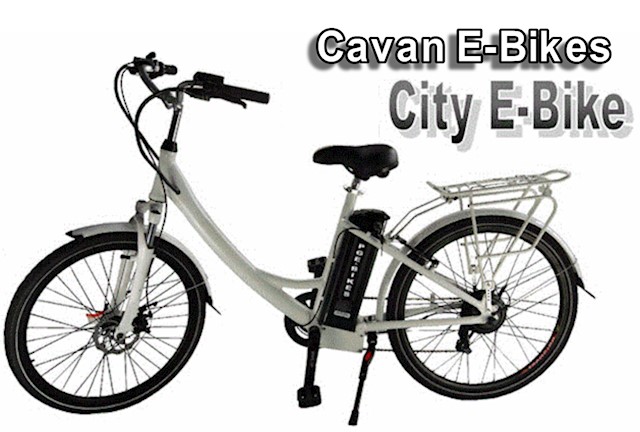 Electric bike hot sale low price