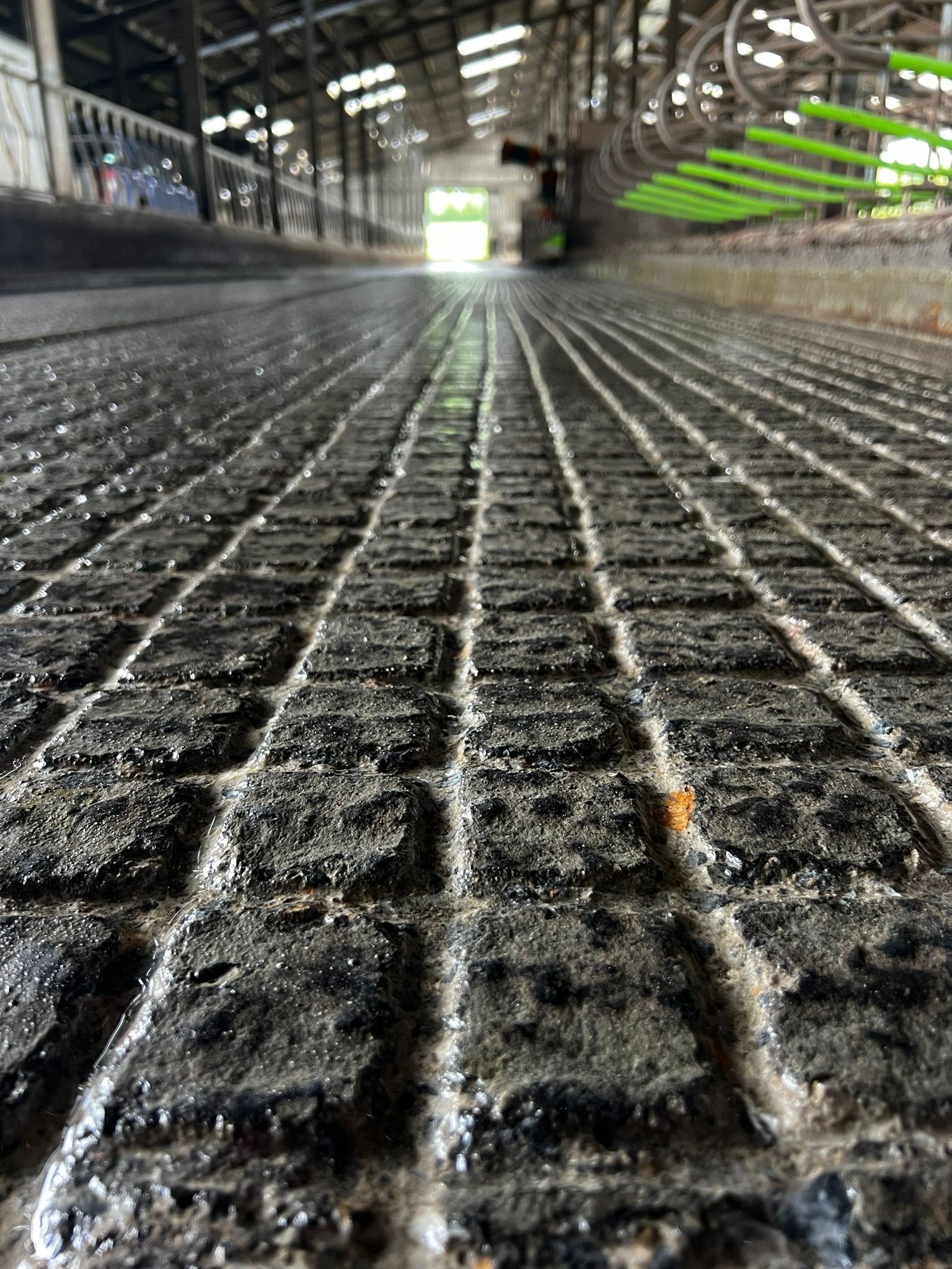 Concrete Grooving Cork