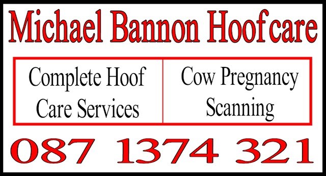 Michael Bannon Hoofcare