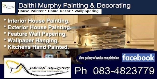 Daithi Murphy Painting & Decorating logo