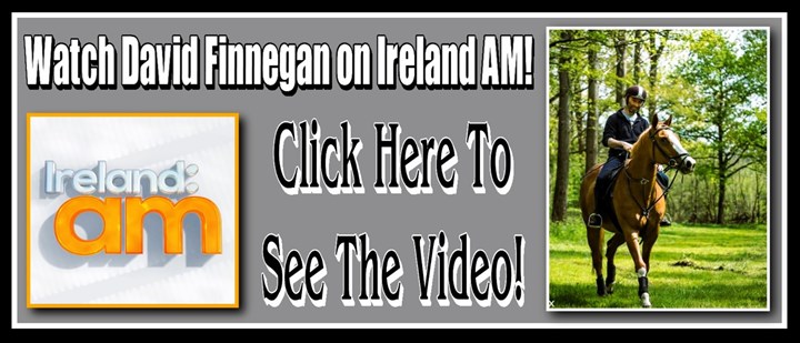 Farrier Kildare - Link to David Finnegan on Ireland AM