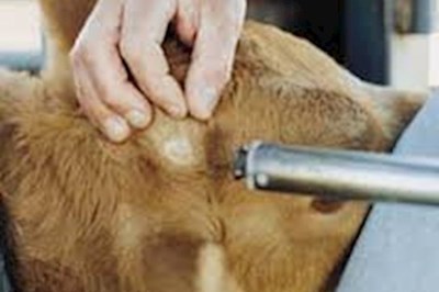 Noel McEntee Farm Services