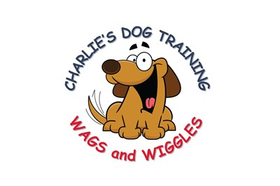Cavan dog training -